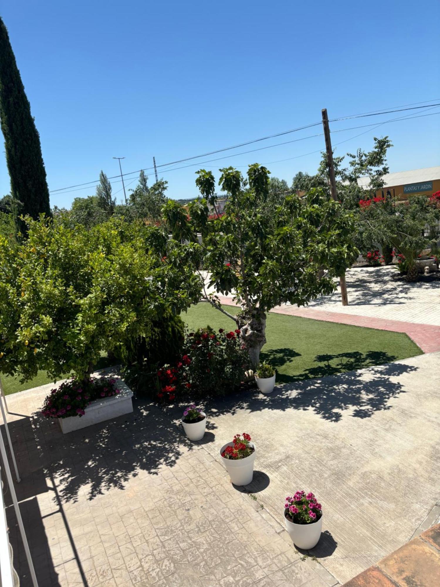 Finca Mi Alma Ogíjares Eksteriør billede